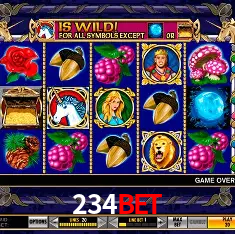 234bet Rio de Janeiro - Bonus Terms